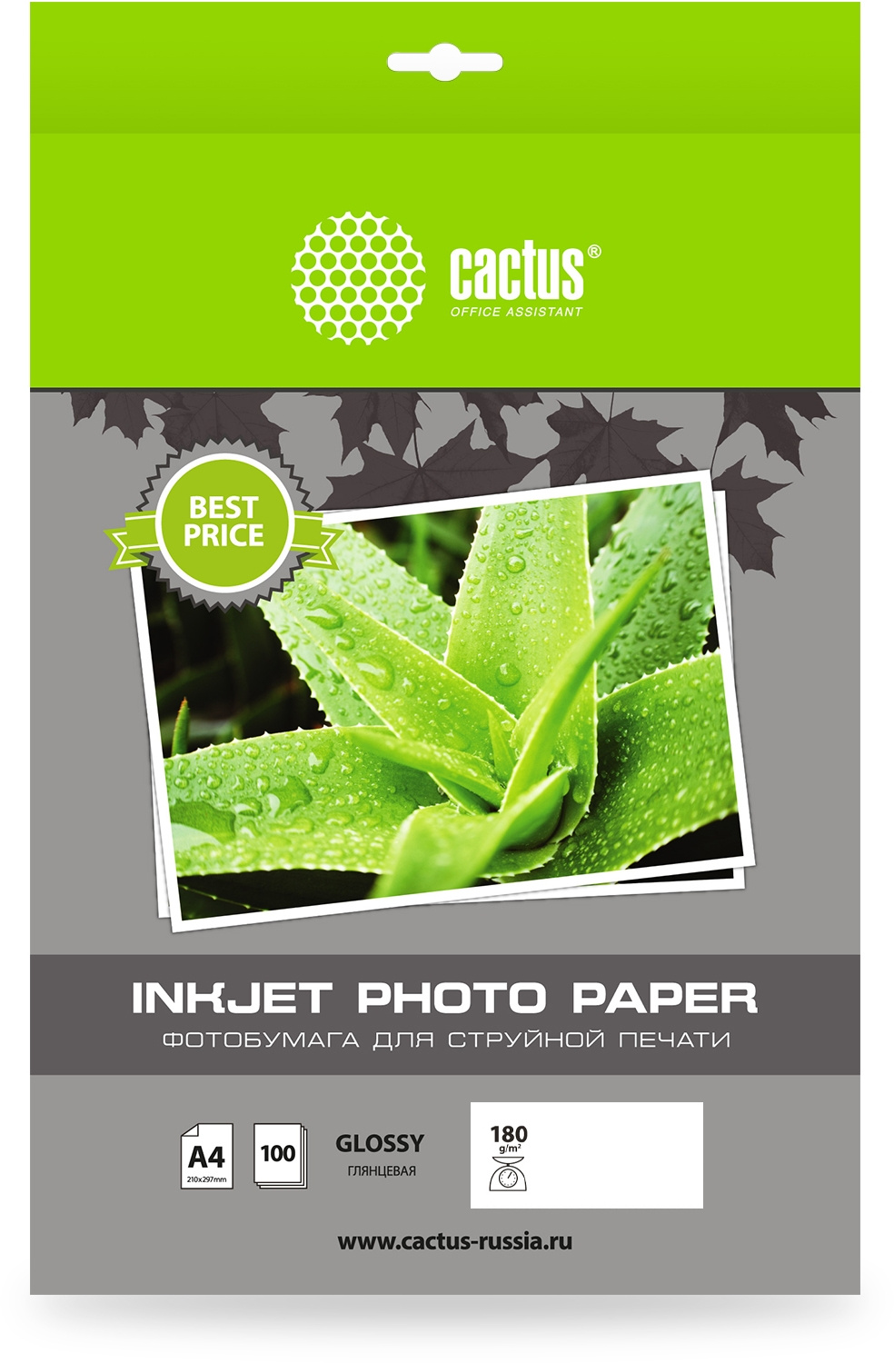 Фотобумага Cactus CS-GA413050ED A4/130г/м2/50л./белый глянцевое для струйной печати